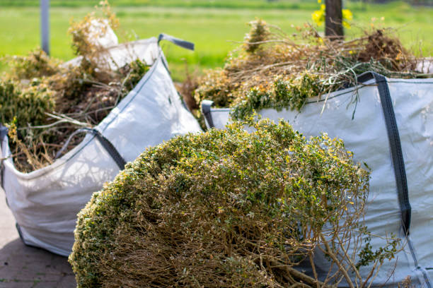 Basement Cleanout Services in Yacolt, WA